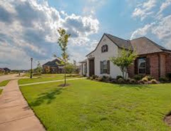 Max Mendoza – Access Homes